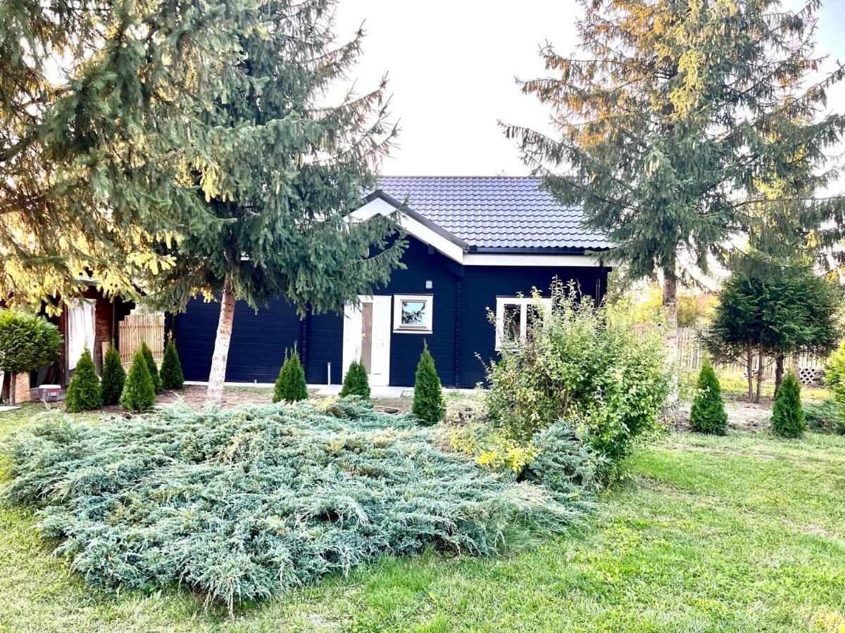 Vila Scandinavia Sîngeorgiu de Mureş エクステリア 写真